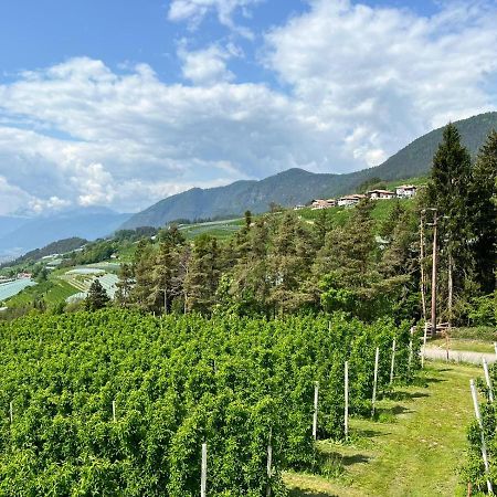 Agritur Maso Forcola Villa Brez Dış mekan fotoğraf
