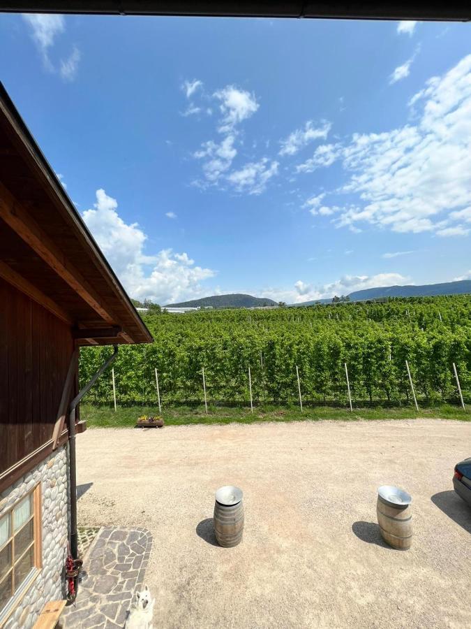 Agritur Maso Forcola Villa Brez Dış mekan fotoğraf
