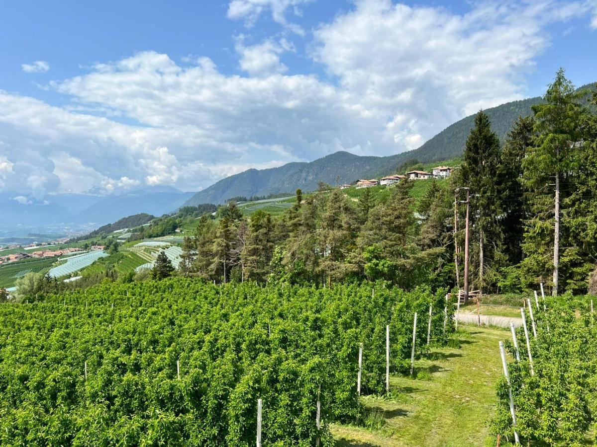 Agritur Maso Forcola Villa Brez Dış mekan fotoğraf