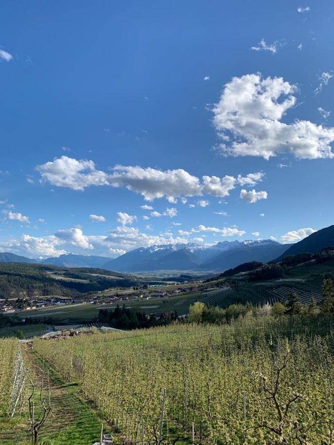 Agritur Maso Forcola Villa Brez Dış mekan fotoğraf