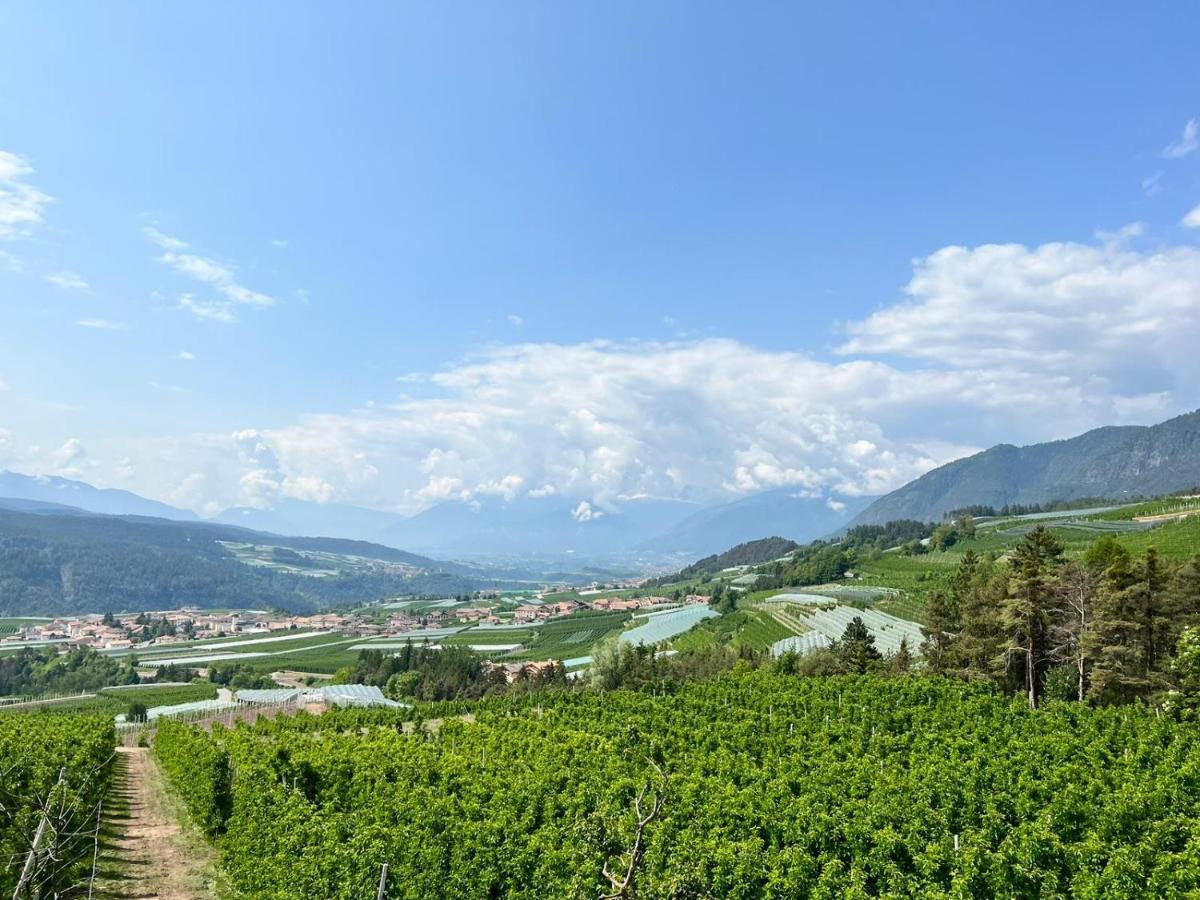 Agritur Maso Forcola Villa Brez Dış mekan fotoğraf