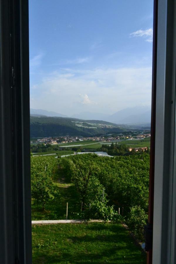 Agritur Maso Forcola Villa Brez Dış mekan fotoğraf