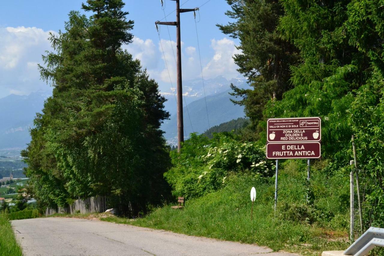 Agritur Maso Forcola Villa Brez Dış mekan fotoğraf